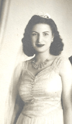 علية أبو العز Profile Picture